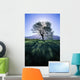 Silhouette Of Tree On Grassy Knoll, Mountain In Background B1628 Wall Mural
