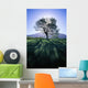 Silhouette Of Tree On Grassy Knoll, Mountain In Background B1628 Wall Mural