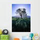 Silhouette Of Tree On Grassy Knoll, Mountain In Background B1628 Wall Mural