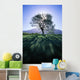 Silhouette Of Tree On Grassy Knoll, Mountain In Background B1628 Wall Mural