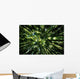 Hawaii, Bamboo Tree Forest, View Upward Toward Treetops B1625 Wall Mural