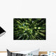 Hawaii, Bamboo Tree Forest, View Upward Toward Treetops B1625 Wall Mural