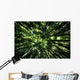 Hawaii, Bamboo Tree Forest, View Upward Toward Treetops B1625 Wall Mural