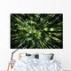 Hawaii, Bamboo Tree Forest, View Upward Toward Treetops B1625 Wall Mural