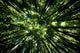 Hawaii, Bamboo Tree Forest, View Upward Toward Treetops B1625 Wall Mural