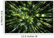 Hawaii, Bamboo Tree Forest, View Upward Toward Treetops B1625 Wall Mural