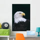 Alaska, Tongass National Forest, Bald Eagle Close-Up Portrait Wall Mural