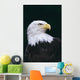 Alaska, Tongass National Forest, Bald Eagle Close-Up Portrait Wall Mural