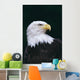 Alaska, Tongass National Forest, Bald Eagle Close-Up Portrait Wall Mural
