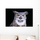 Great Horned Owl Portrait B1660 Wall Mural