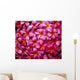 Flowers Pink Plumeria Frangipani, Background B1595 Wall Mural