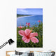 Hawaii, Pink Hibiscus Overlooking Beach B1589 Wall Mural