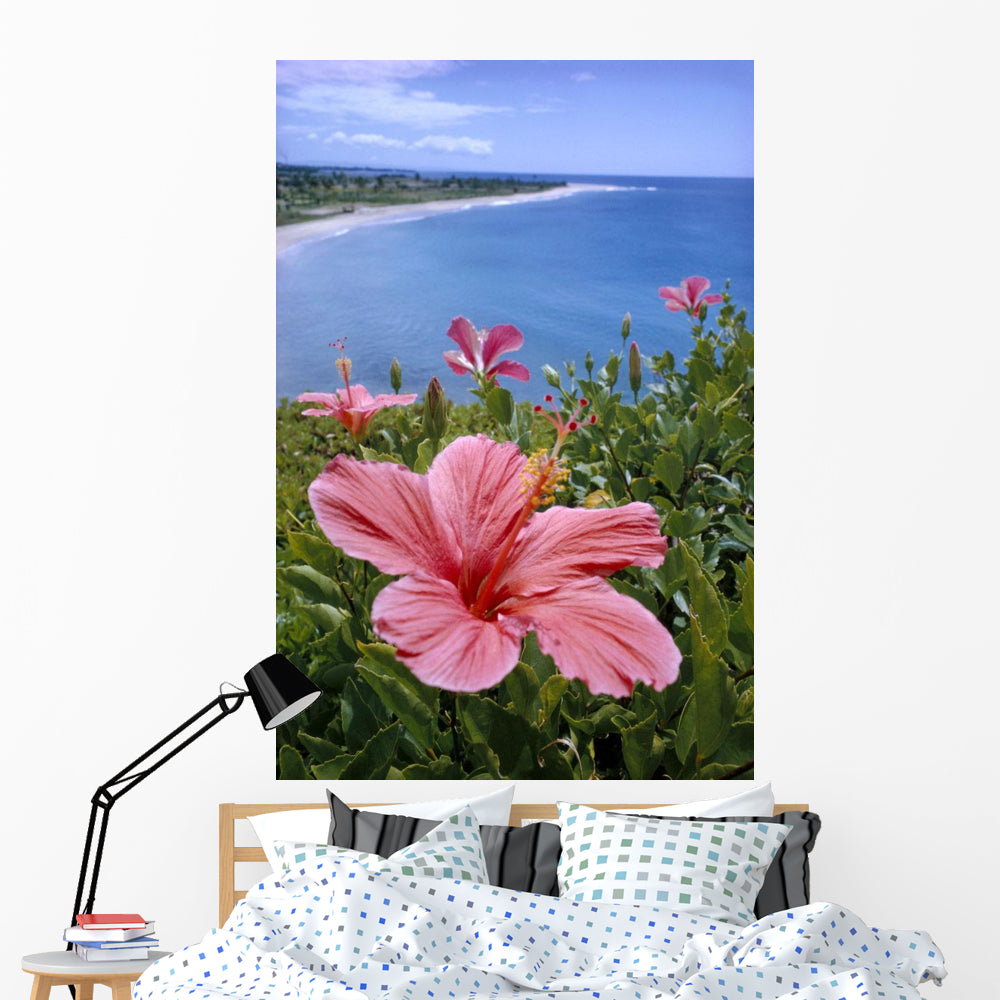 Hawaii Pink Hibiscus Overlooking Wall Mural – Wallmonkeys
