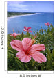 Hawaii, Pink Hibiscus Overlooking Beach B1589 Wall Mural