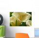 Hawaii, Big Island, Volcano, Calla Lilies, Close-Up B1587 Wall Mural