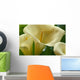 Hawaii, Big Island, Volcano, Calla Lilies, Close-Up B1587 Wall Mural