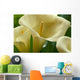 Hawaii, Big Island, Volcano, Calla Lilies, Close-Up B1587 Wall Mural