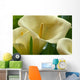 Hawaii, Big Island, Volcano, Calla Lilies, Close-Up B1587 Wall Mural