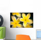 Close-Up Of Yellow Plumeria Flowers Soft Focus B1596 Wall Mural