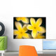 Close-Up Of Yellow Plumeria Flowers Soft Focus B1596 Wall Mural