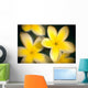 Close-Up Of Yellow Plumeria Flowers Soft Focus B1596 Wall Mural