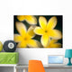 Close-Up Of Yellow Plumeria Flowers Soft Focus B1596 Wall Mural