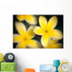 Close-Up Of Yellow Plumeria Flowers Soft Focus B1596 Wall Mural