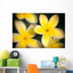 Close-Up Of Yellow Plumeria Flowers Soft Focus B1596 Wall Mural