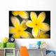 Close-Up Of Yellow Plumeria Flowers Soft Focus B1596 Wall Mural