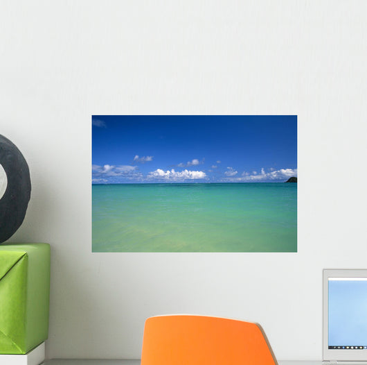 Ocean, Clouds, Sky B1454 Wall Mural