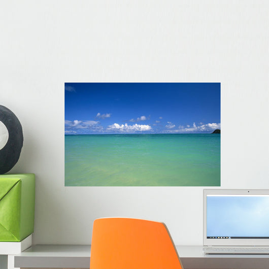 Ocean, Clouds, Sky B1454 Wall Mural