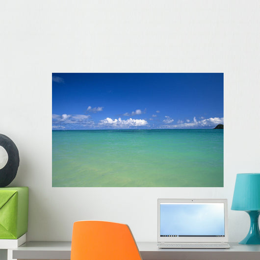 Ocean, Clouds, Sky B1454 Wall Mural