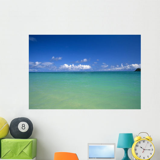 Ocean, Clouds, Sky B1454 Wall Mural