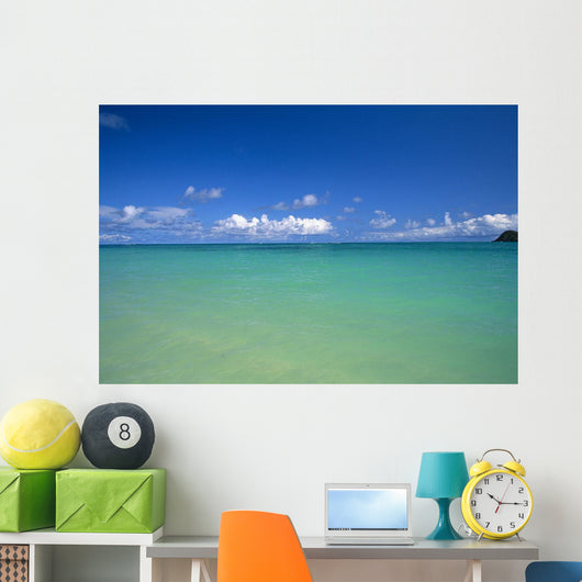 Ocean, Clouds, Sky B1454 Wall Mural
