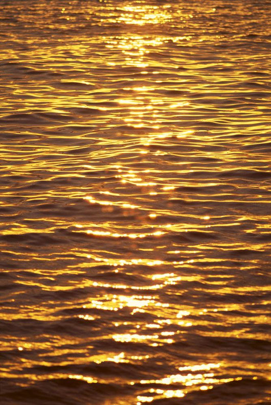 Ocean Texture Ripples At Sunset, Golden Yellow Waters B1447 Wall Mural
