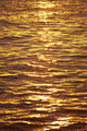 Ocean Texture Ripples At Sunset, Golden Yellow Waters B1447 Wall Mural