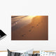 Footprints In Sand At Sunset, Shoreline Water B1452 Wall Mural