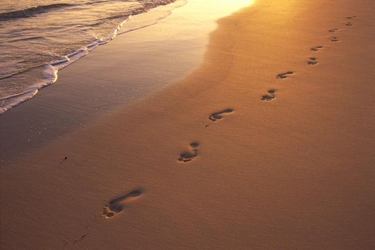 Footprints In Sand At Sunset, Shoreline Water B1452 Wall Mural