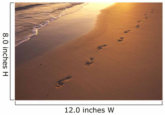 Footprints In Sand At Sunset, Shoreline Water B1452 Wall Mural