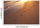Footprints In Sand At Sunset, Shoreline Water B1452 Wall Mural