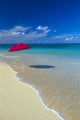 Red Beach Umbrella In Shoreline Waters, Clear Turquoise Water B1455 Wall Mural