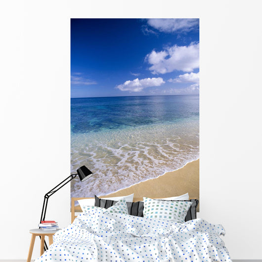 Wave Washes Ashore Onto Sandy Beach, Azure Ocean, Blue Sky B1498 Wall Mural