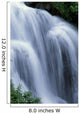 Blur Action B1608 Wall Mural