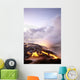 Steaming B1580 Wall Mural