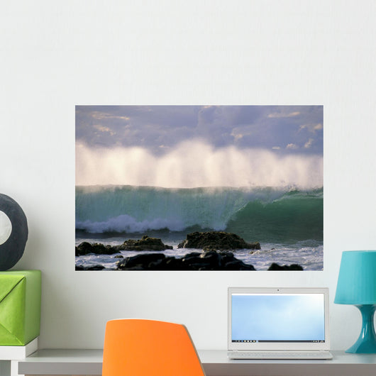 Wave Crashes On Rocky Shoreline, Mist On Wave B1445 Wall Mural
