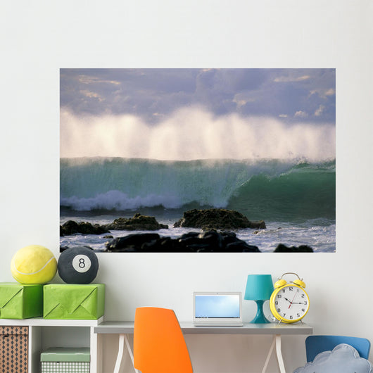 Wave Crashes On Rocky Shoreline, Mist On Wave B1445 Wall Mural