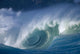 Hawaii, Oahu, Aimee Shore Break, Big Waves B1474 Wall Mural