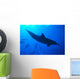 Spinner Dolphins Underwater, One Close-Up B1876 Wall Mural