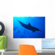 Spinner Dolphins Underwater, One Close-Up B1876 Wall Mural