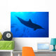 Spinner Dolphins Underwater, One Close-Up B1876 Wall Mural